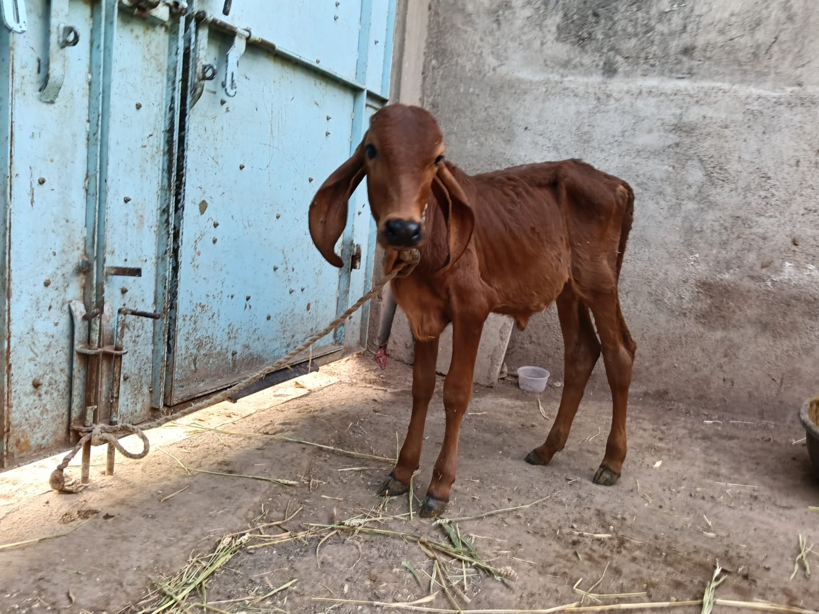 વેચાણ માટે 2