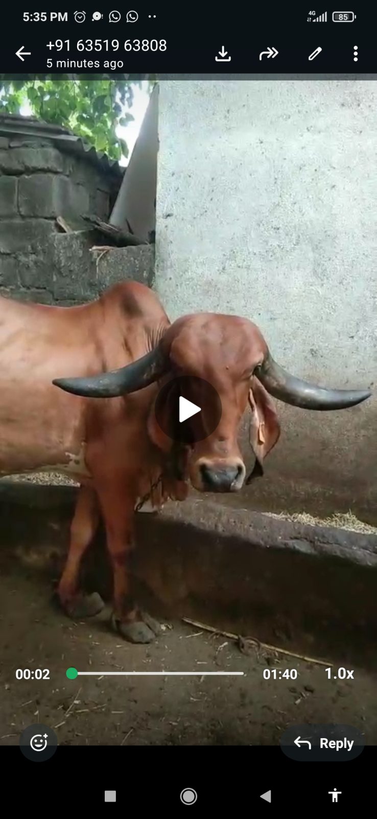 વેચાણ માટે