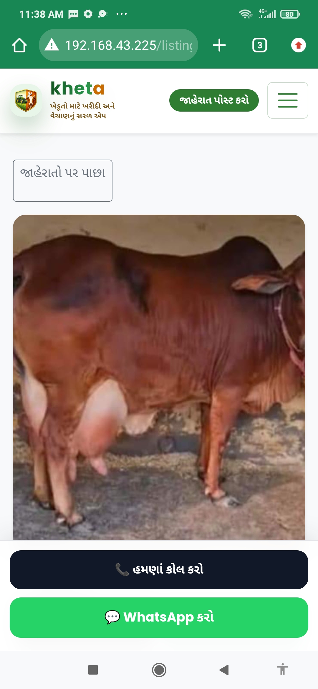 ગાય vechavani se