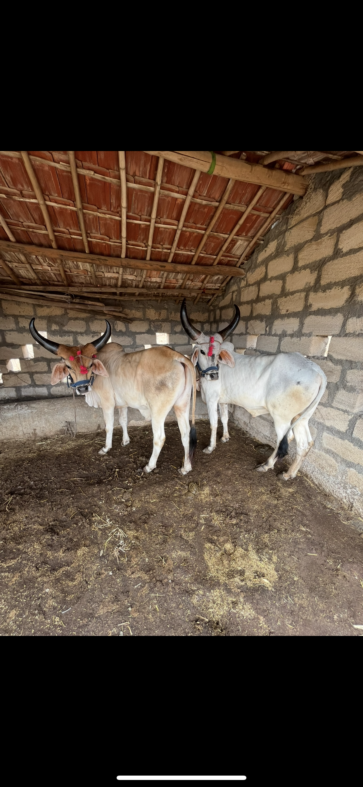 વેચાણ માટે