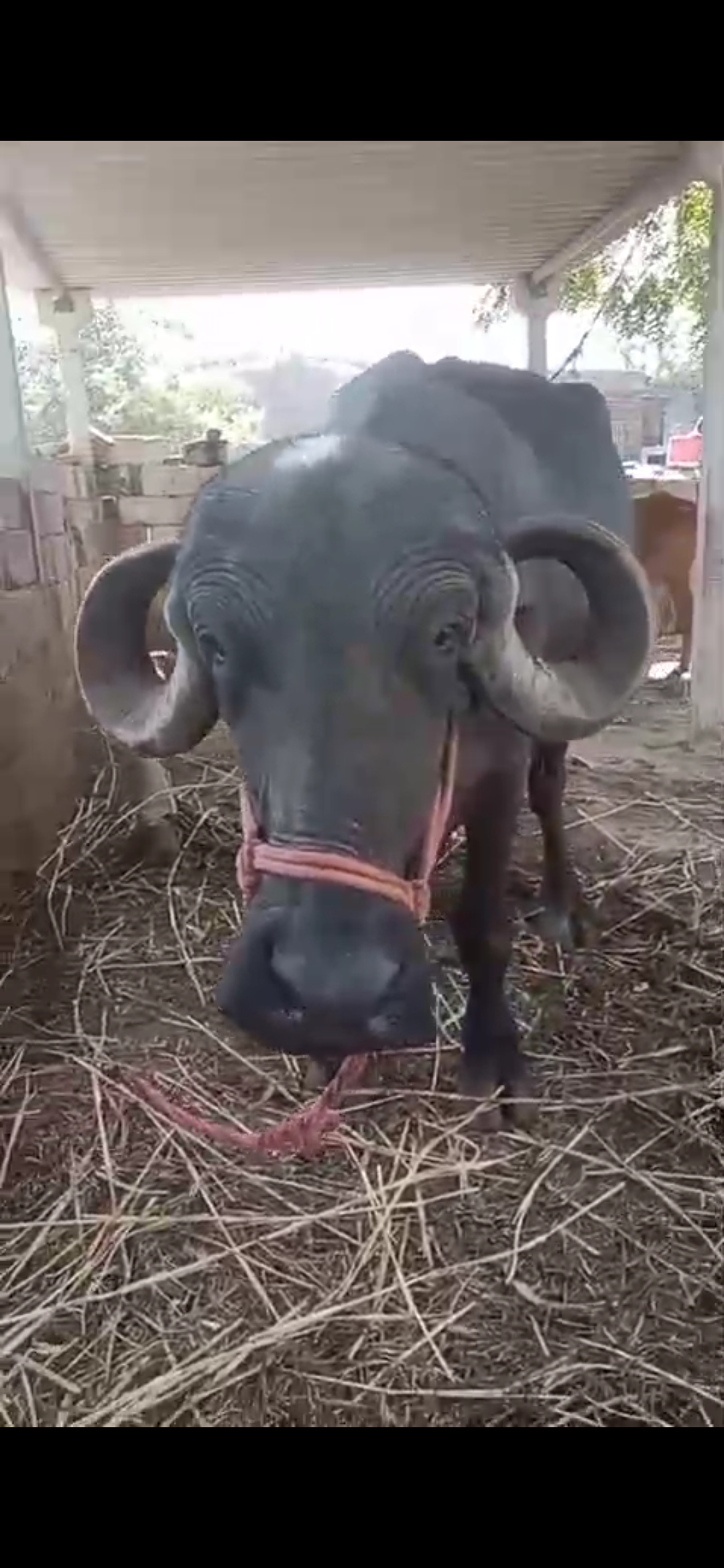 વેચાણ માટે