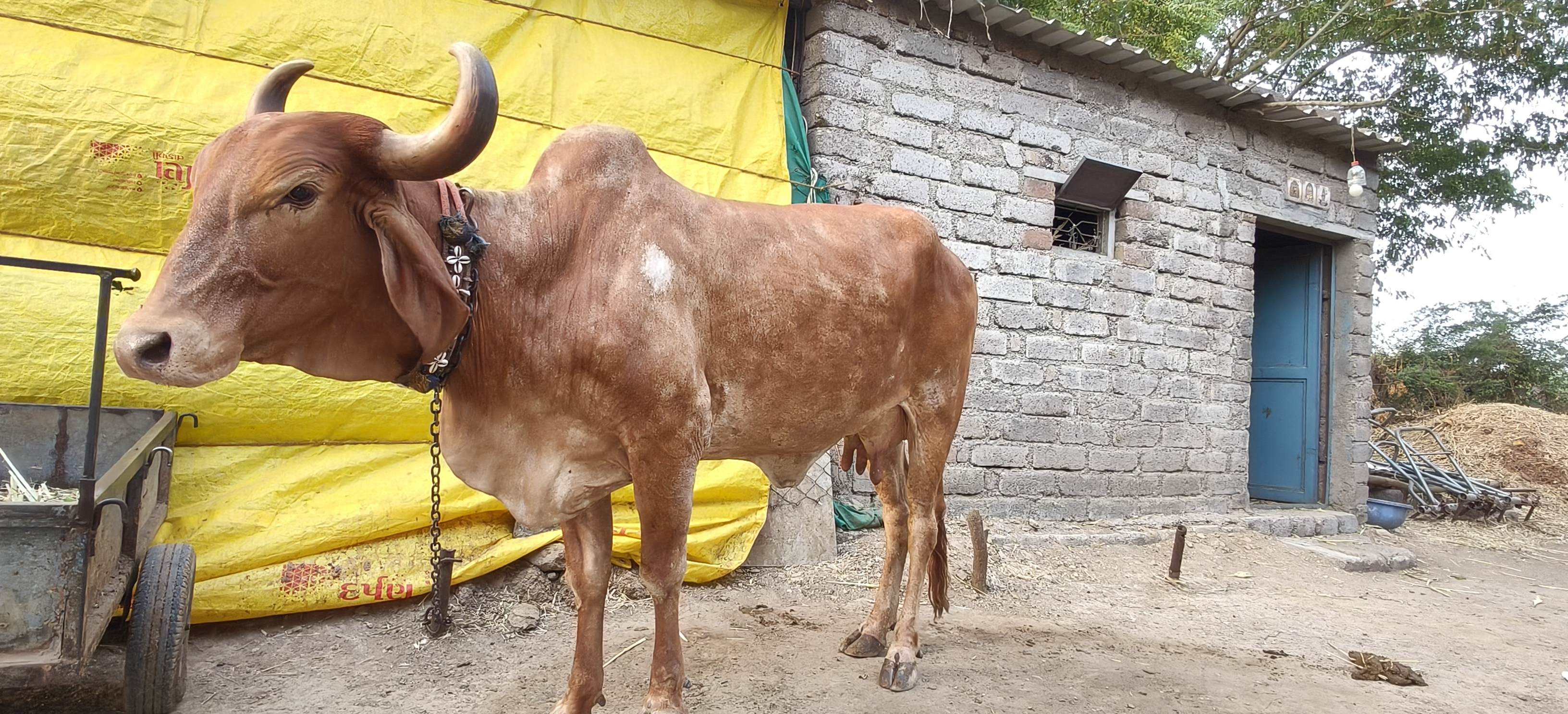 વેચાણ માટે 5
