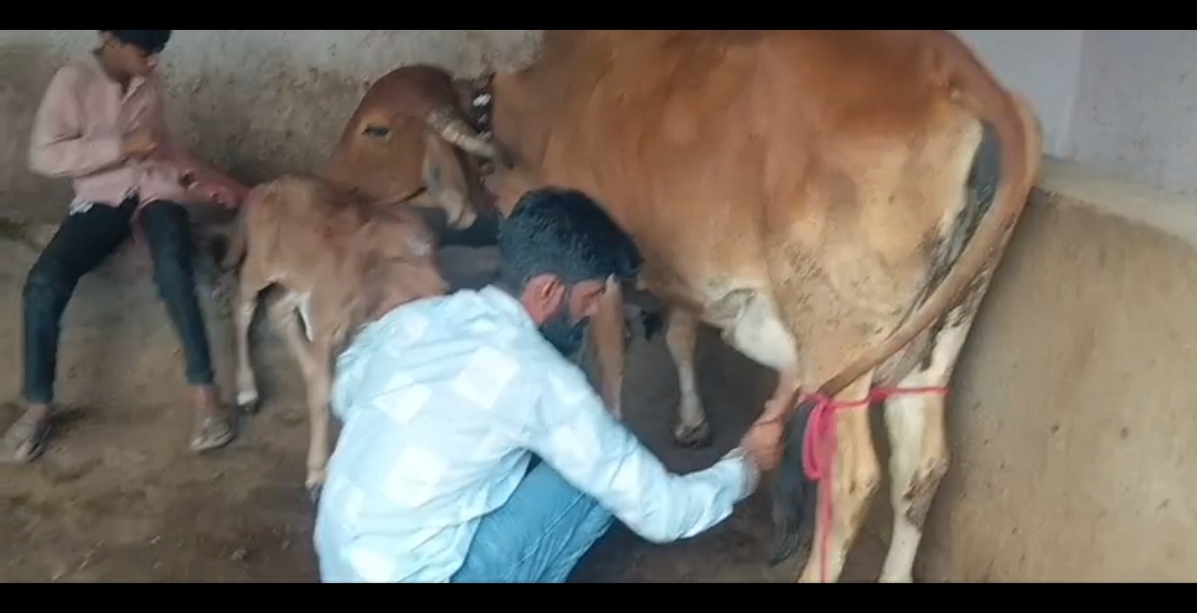 વેચાણ માટે