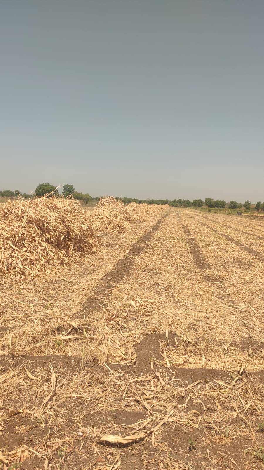 કડબ વેચવા ની છે 2