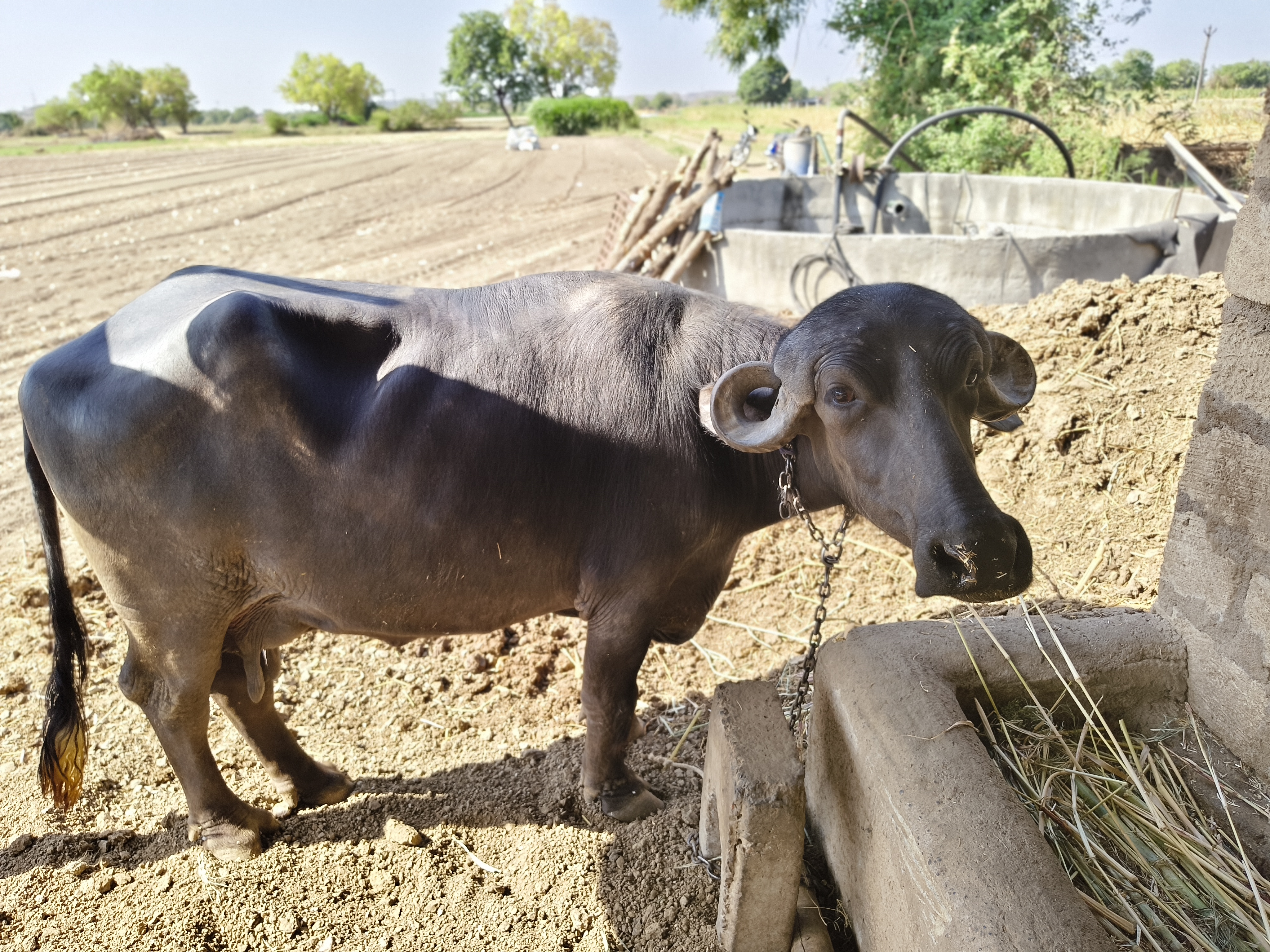 વેચાણ માટે 3