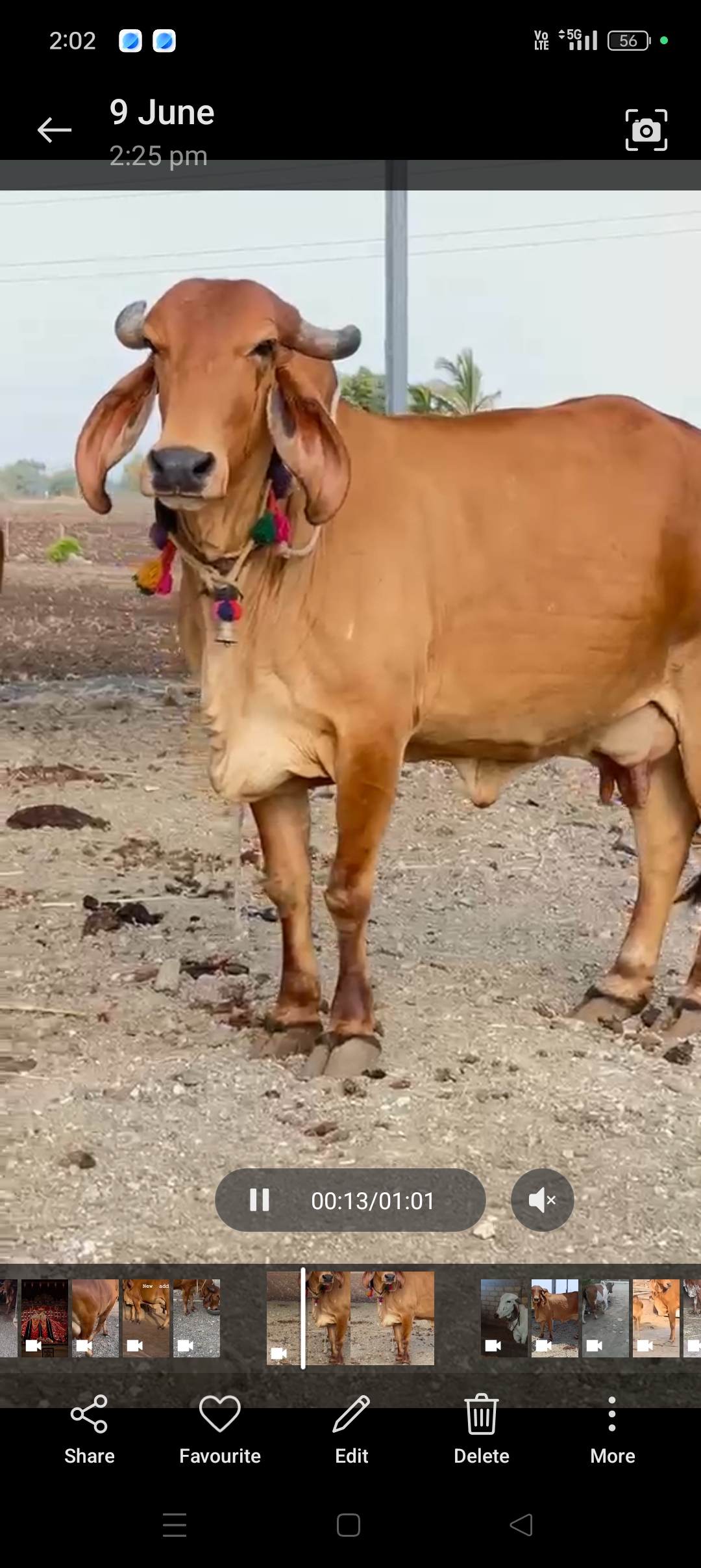 વેચાણ માટે 2