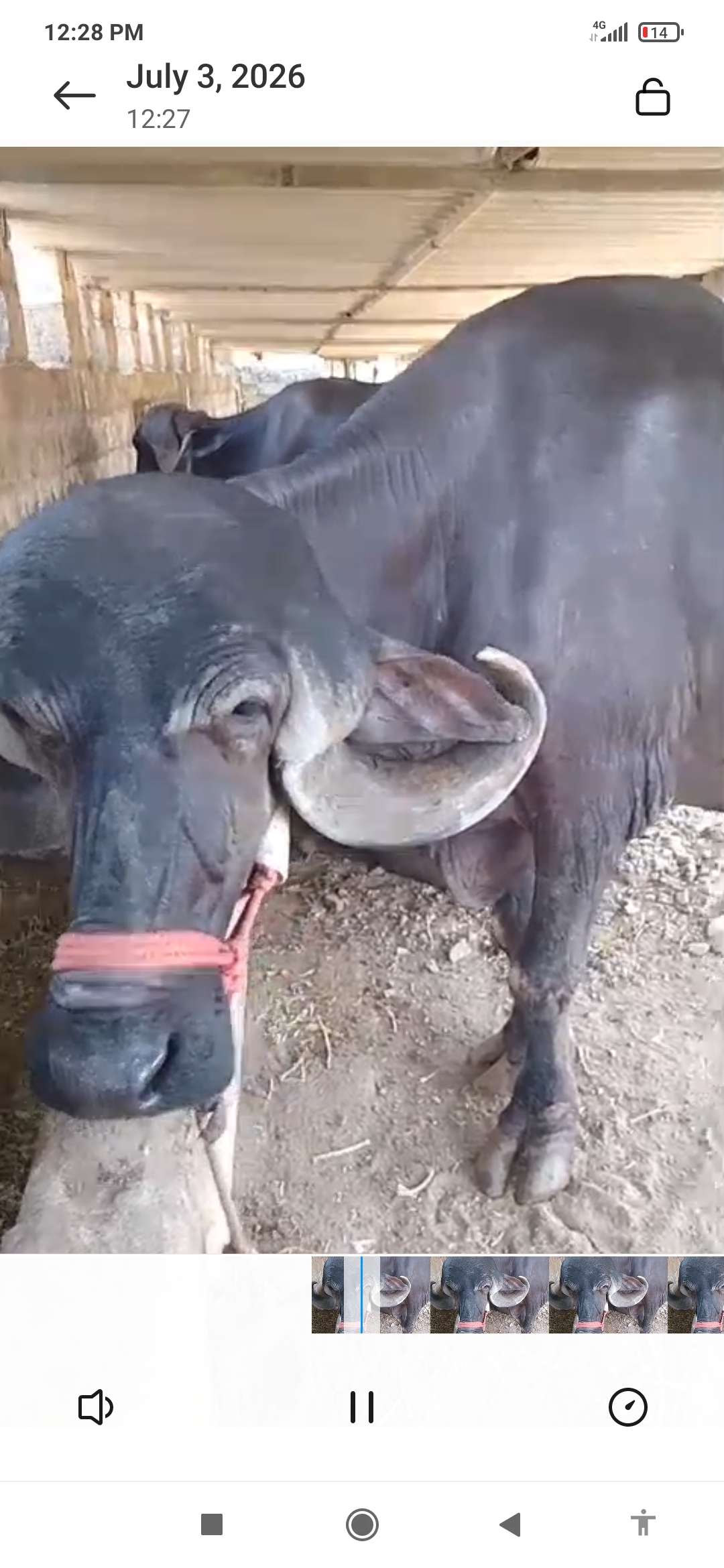 વેચાણ માટે