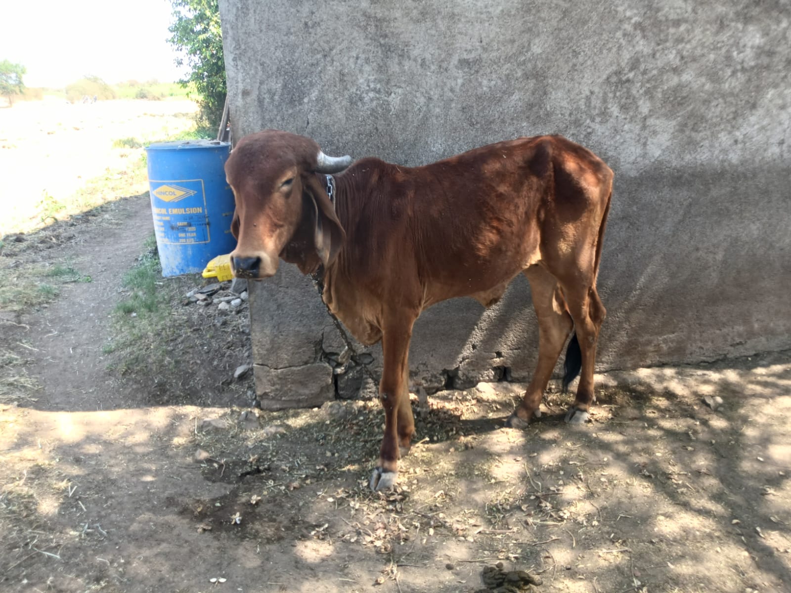 વેચાણ માટે 3
