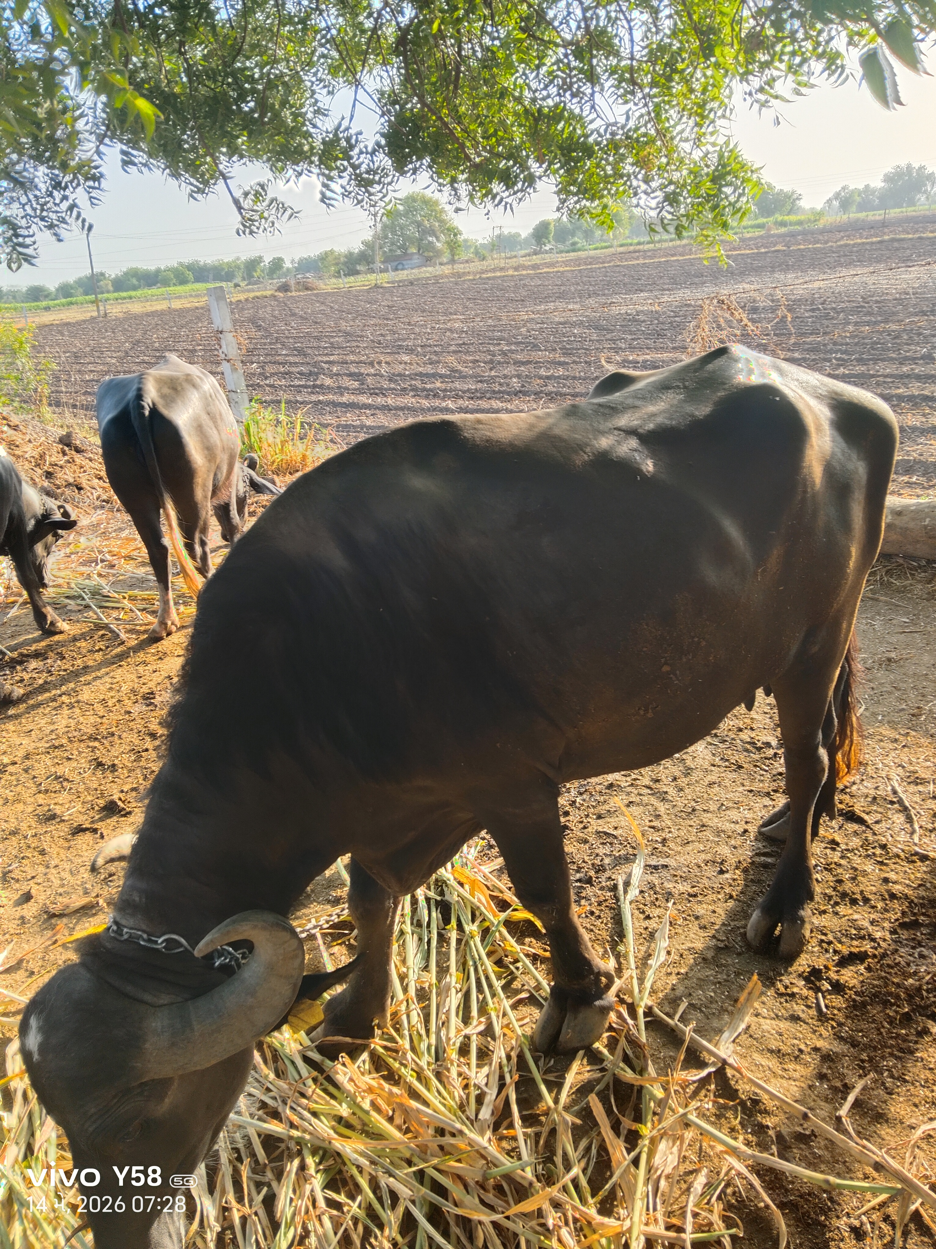 વેચાણ માટે 2