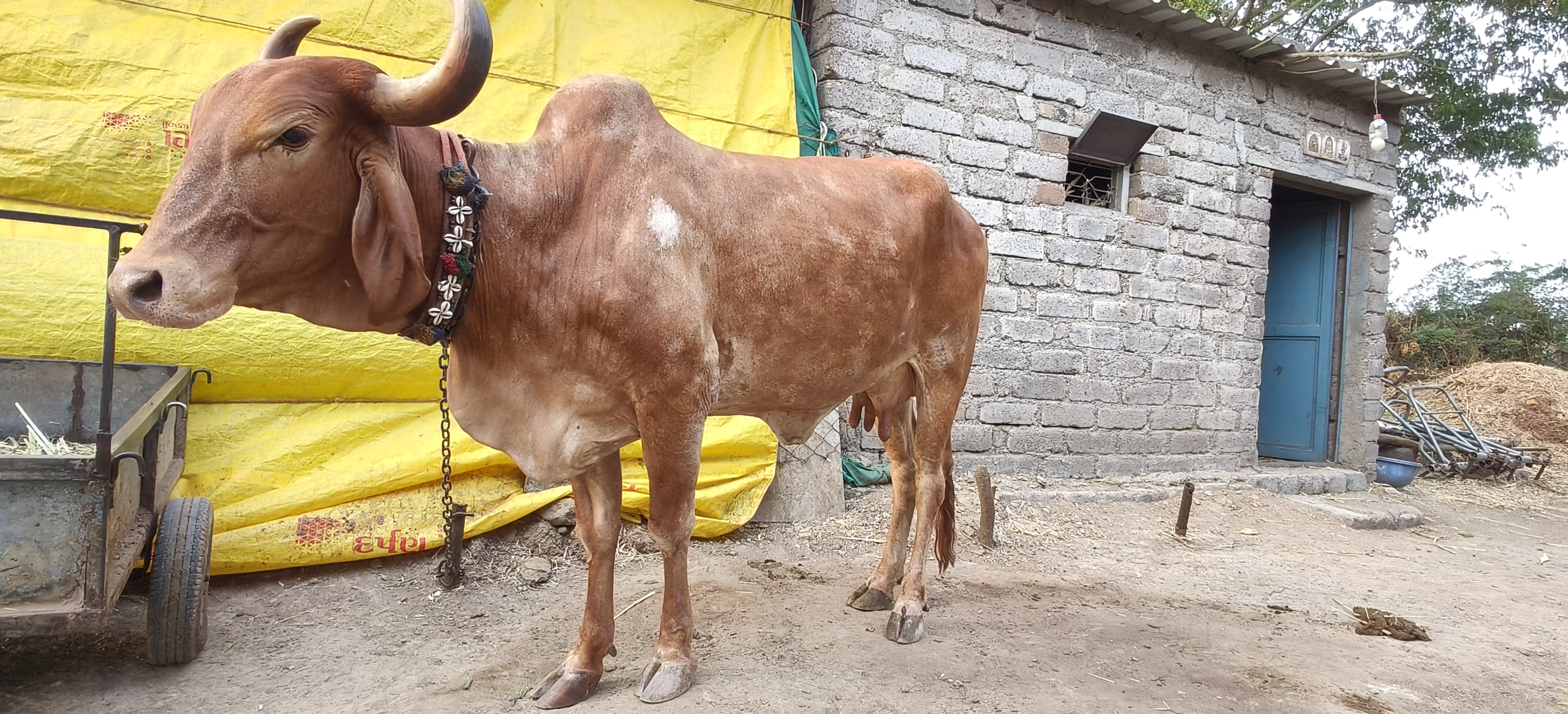 વેચાણ માટે 4