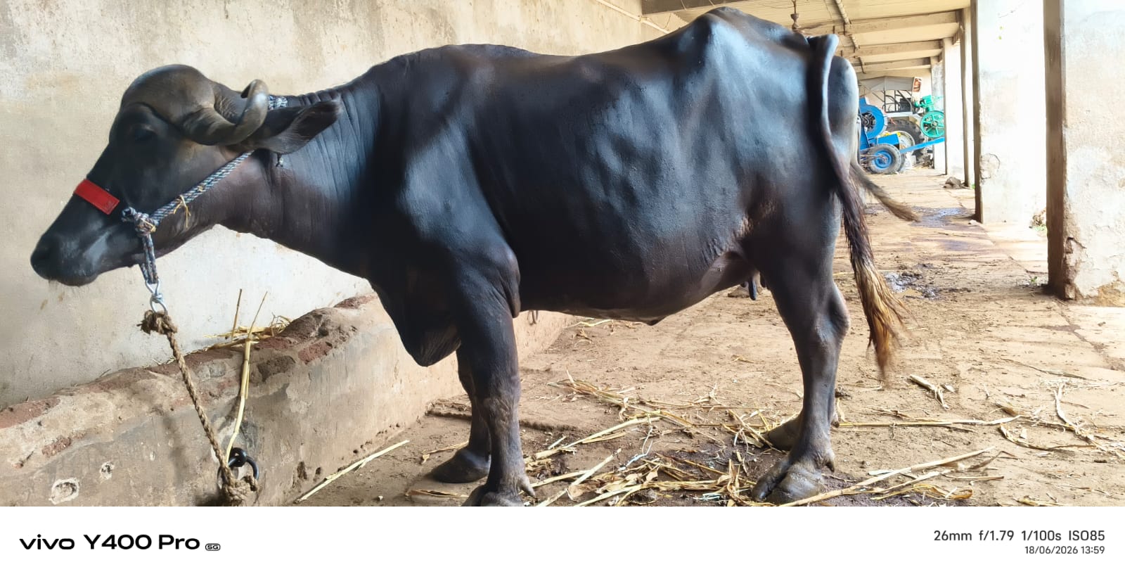 વેચાણ માટે