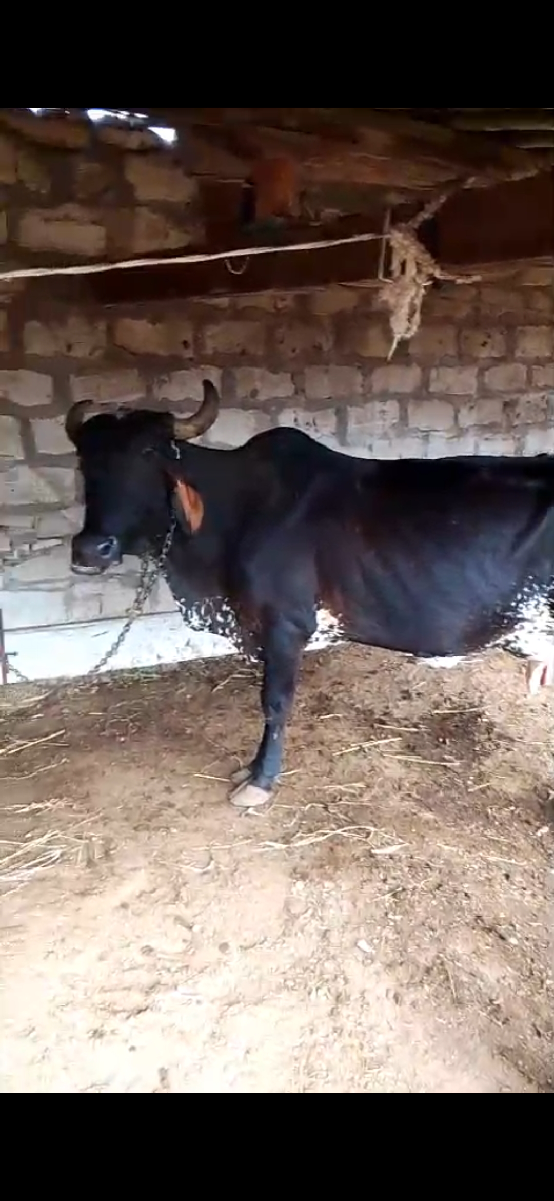 વેચાણ માટે 2