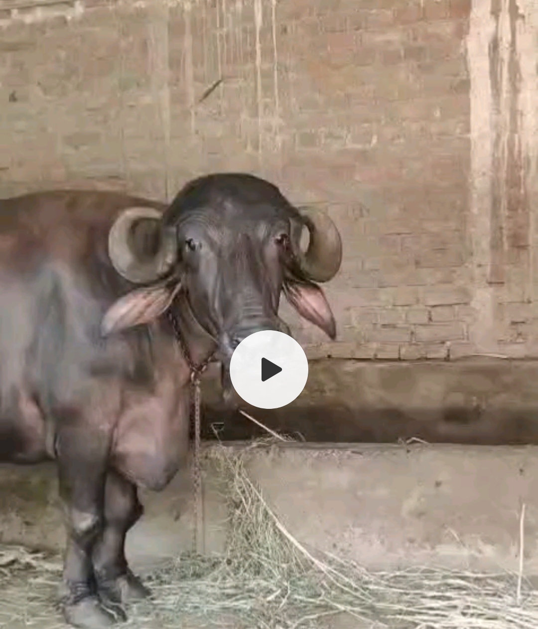 વેચાણ માટે