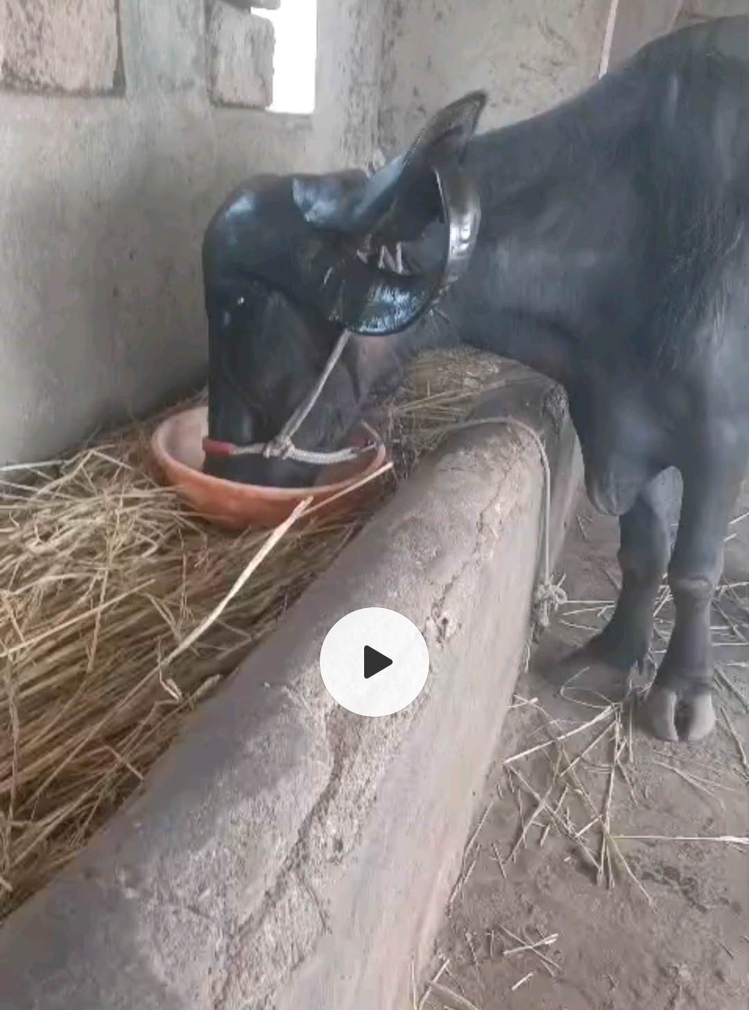વેચાણ માટે