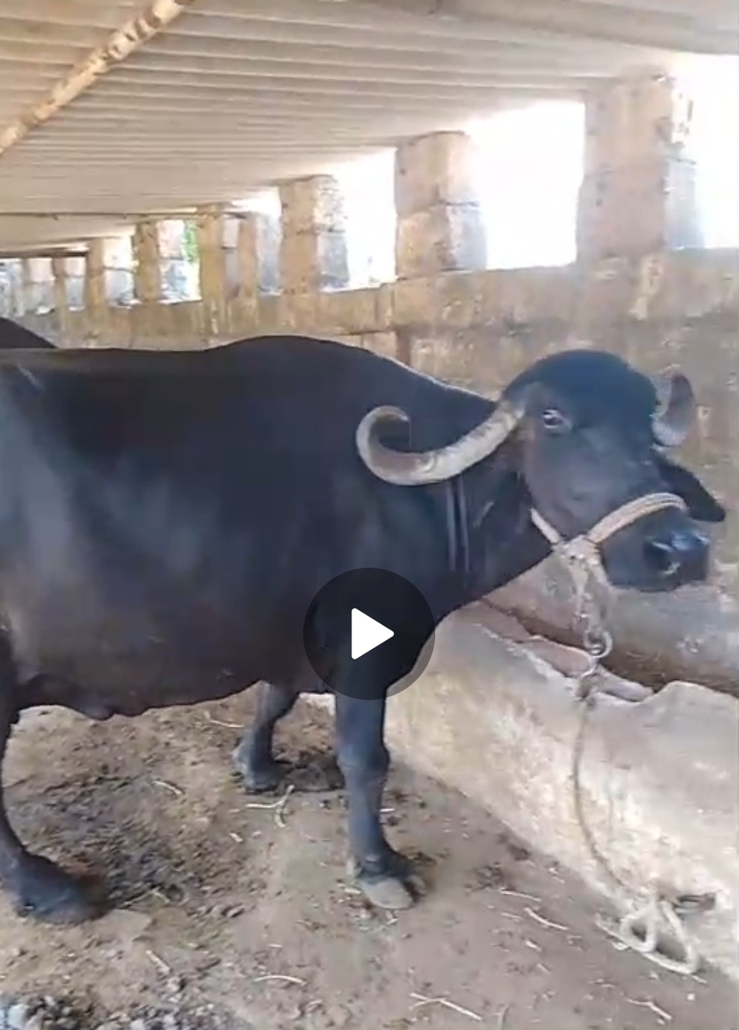 વેચાણ માટે