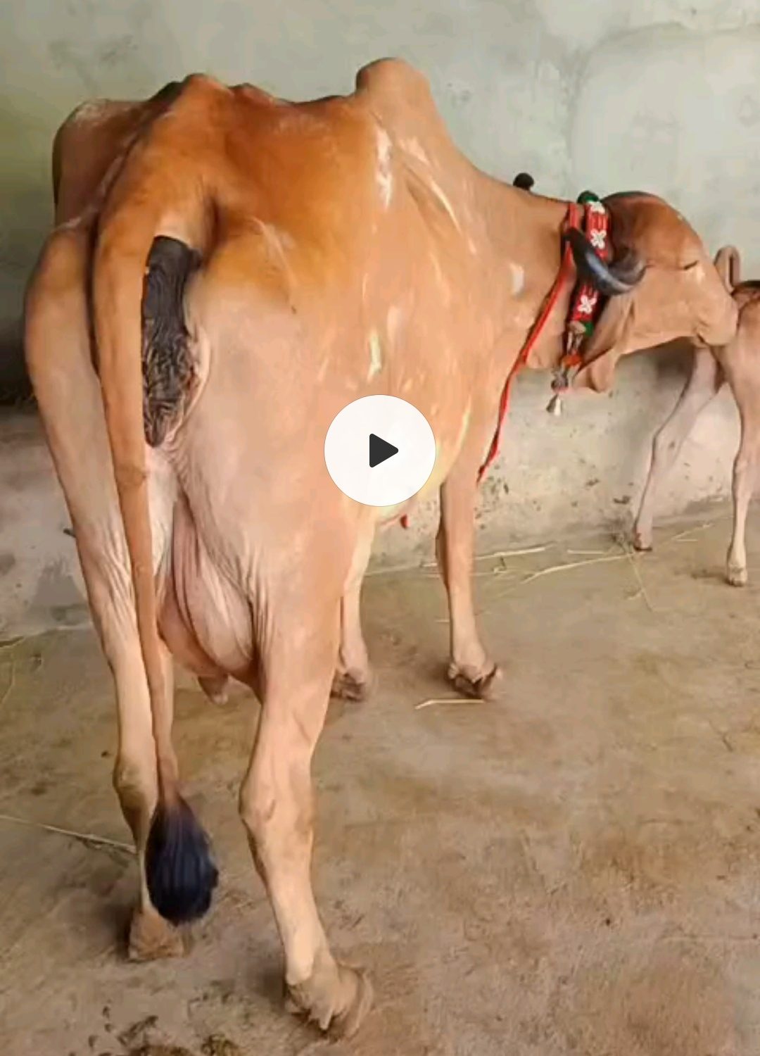 વેચાણ માટે