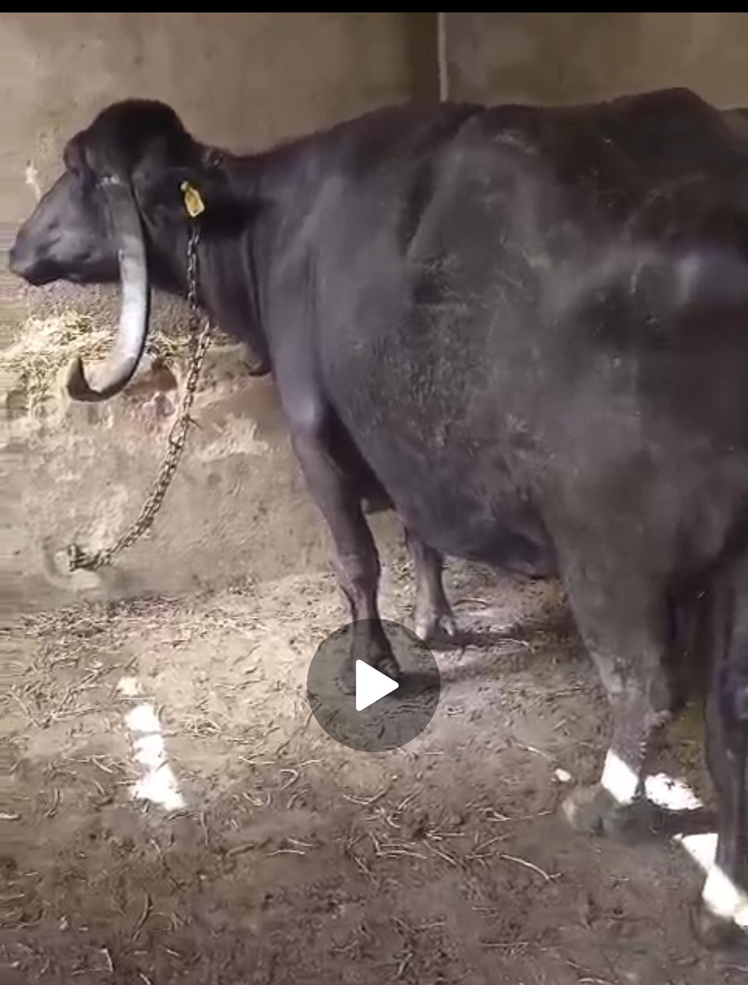 વેચાણ માટે
