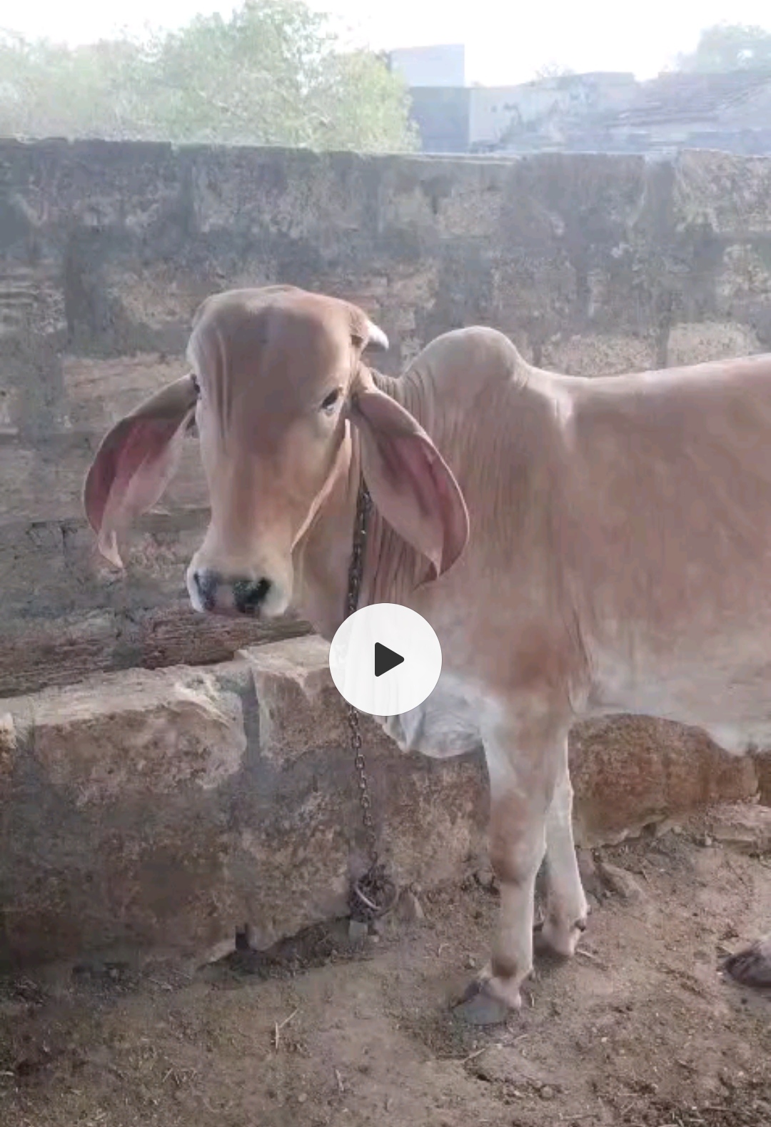 વેચાણ માટે