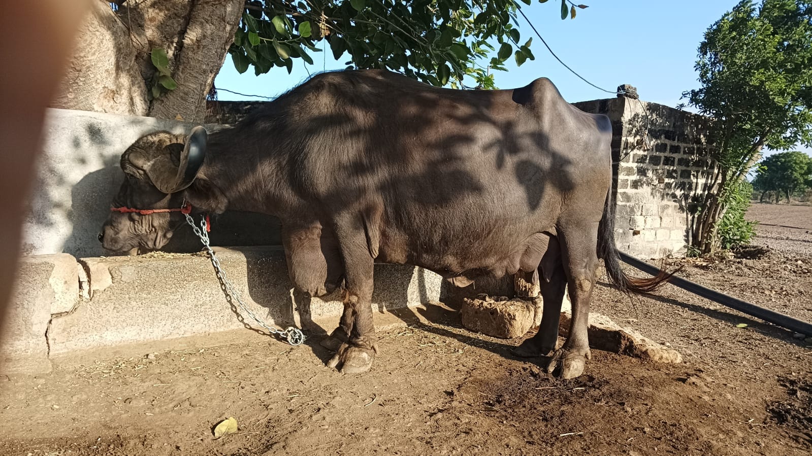 વેચાણ માટે 2
