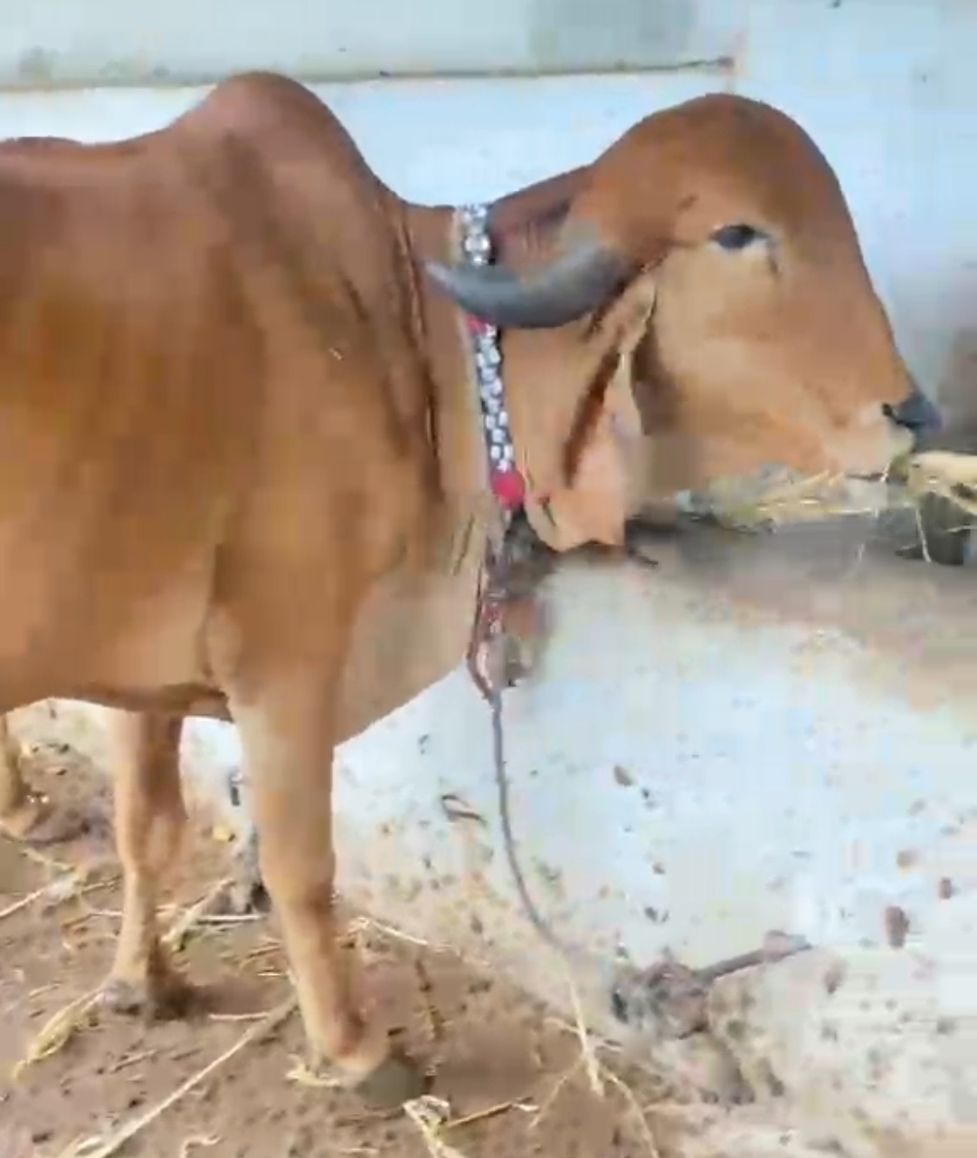 વેચાણ માટે