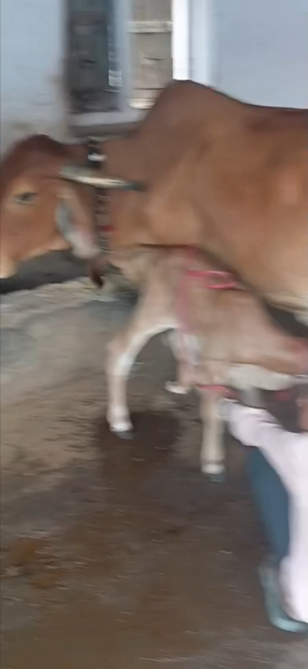 વેચાણ માટે 2