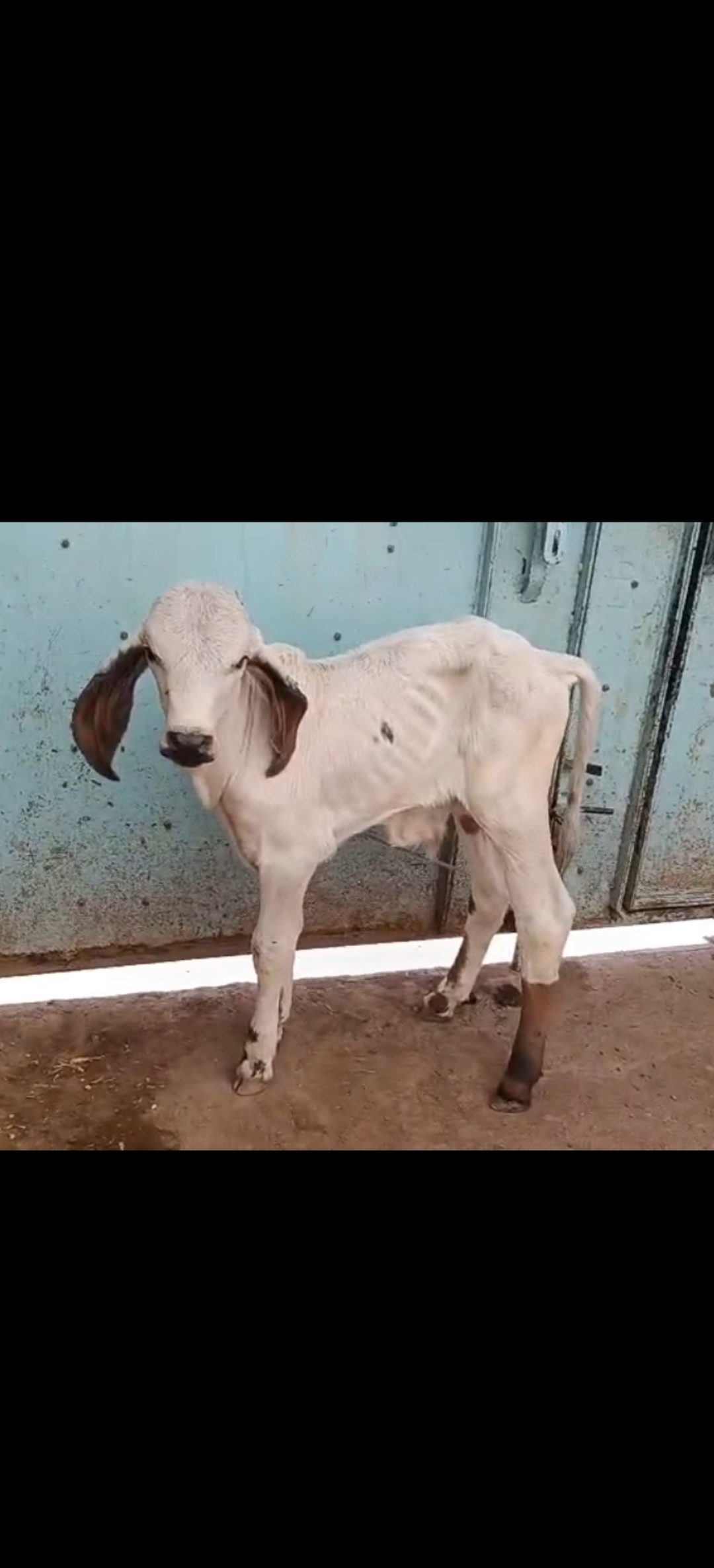 વેચાણ માટે 2