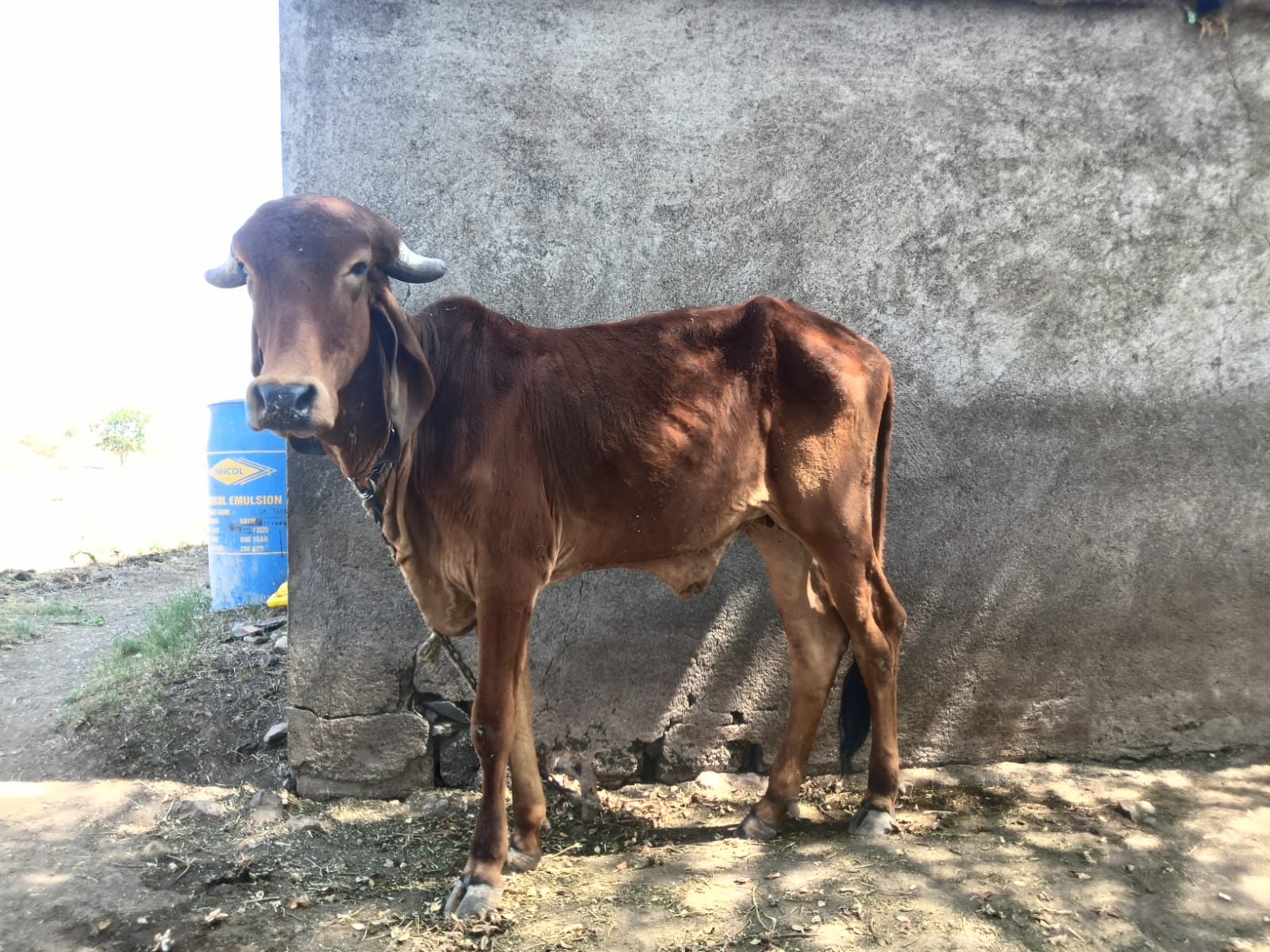 વેચાણ માટે 2
